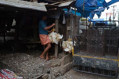 Connemara Market, Trivandrum,_DSC_9343_H600